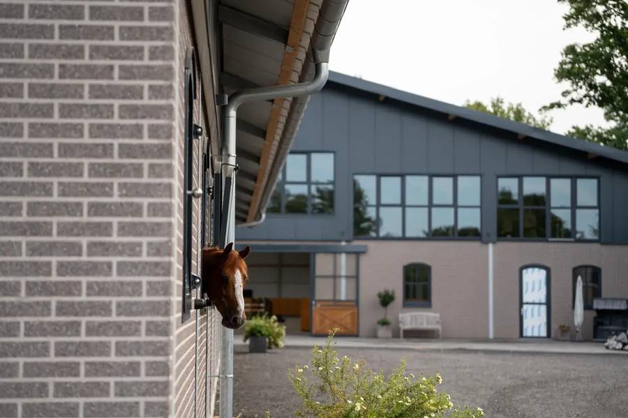 Stallgang